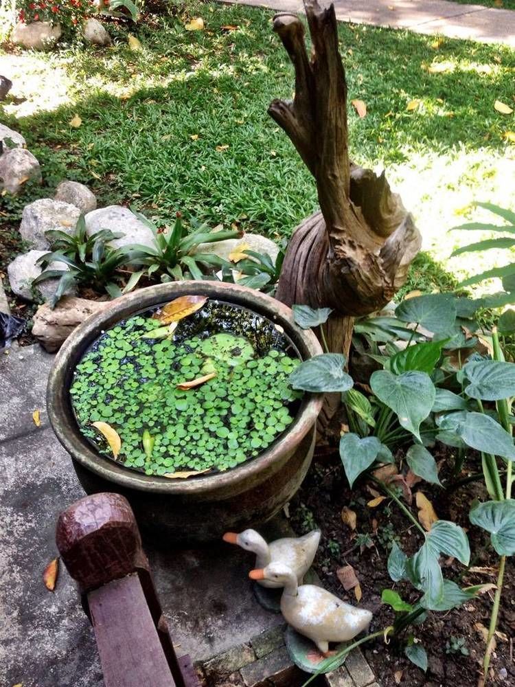 Santitham Guest House Chiang Mai Eksteriør bilde